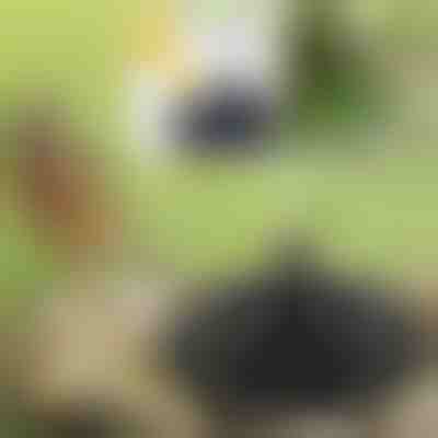 Dați viață grădinii dvs. cu fântâna magică solară | FONTANA