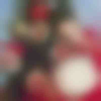 Decor de Crăciun DIY (30 de Bucăți) | ORNAMENTIFY