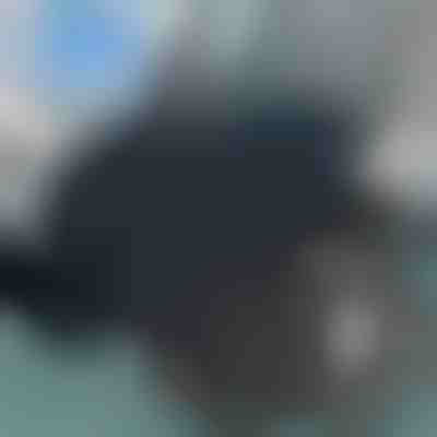 Pernă pivotantă pentru scaun | SPINPAD