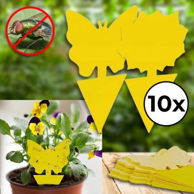 Capcane lipicioase pentru muște (10 buc) | BUGILURE