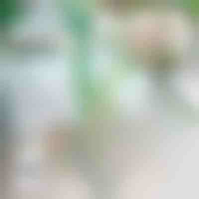 Opritor de cădere pentru plante | ROOTZI