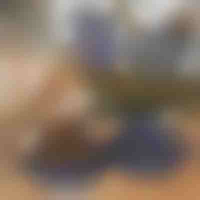 Bol pliabil 2-în-1 pentru hrană și apă pentru animale de companie | WOOFDISH