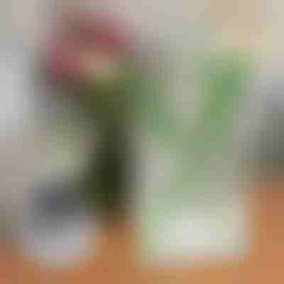 Vază pentru flori în formă de carte | FLOWERFRAME