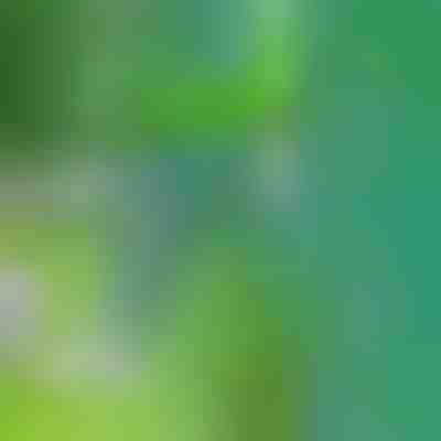 Un instrument pentru îndepărtarea buruienilor | SPINOUT