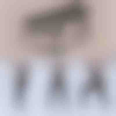 Bară cu 2 corzi pentru pilates | TONEBAR