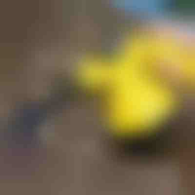 Curățător cu abur pentru dezinfecție | VAPERO