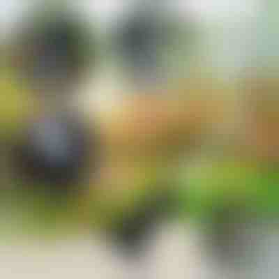 Unealtă 4 în 1 pentru grădină | VERSAX