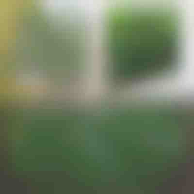 Gard decorativ și practic pentru terasă și grădină | GREENFENCE