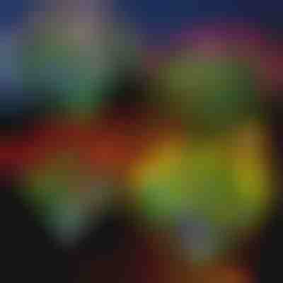 Lampă solară cu flori | ROSILUME