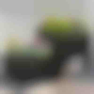 Cutie pentru grădinărit | BOTANITKO