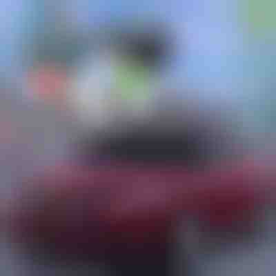 Cea mai bună protecție de vară pentru mașini! | CARCOVER