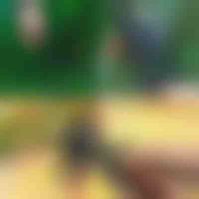 Foarfecă profesională 2-în-1 pentru tăiere și altoire | MASTERCUT