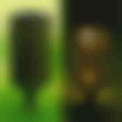 Lampă solară (set de 2 buc) | GARDENIAS