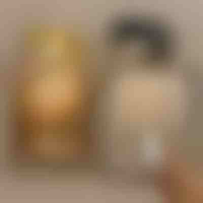 Proiectoare magnetice | ARTIONIC