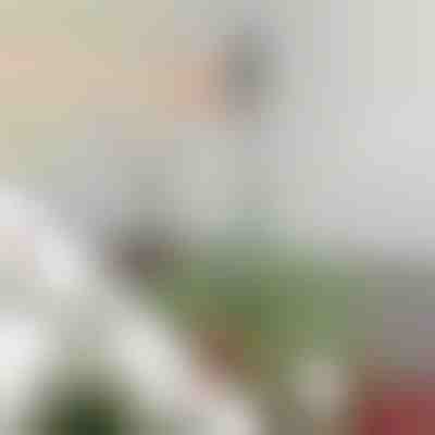 Bară reglabilă de stabilizare pentru vârful bradului | STABLESTAR