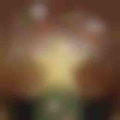 Proiector pentru vârful bradului de Crăciun | FLAKELITE