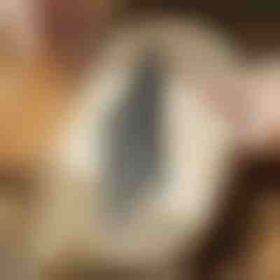 Lame de ferăstrău pendular pentru tăiere la nivel (5 buc) | JIGSPRO