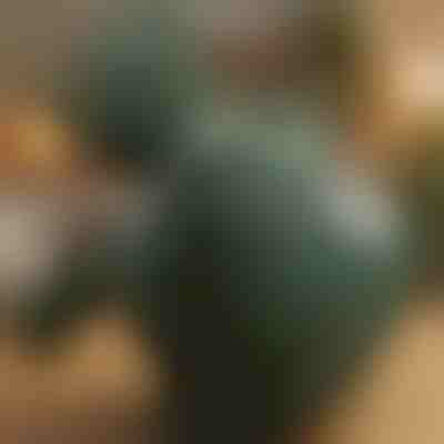 Aparat de masaj cu încălzire pentru shiatsu | MASSORA