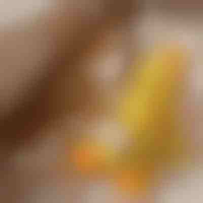 Jucărie calmantă din pluș pentru câini cu sunet de măcăit - reduce anxietatea de separare | CALMQUA